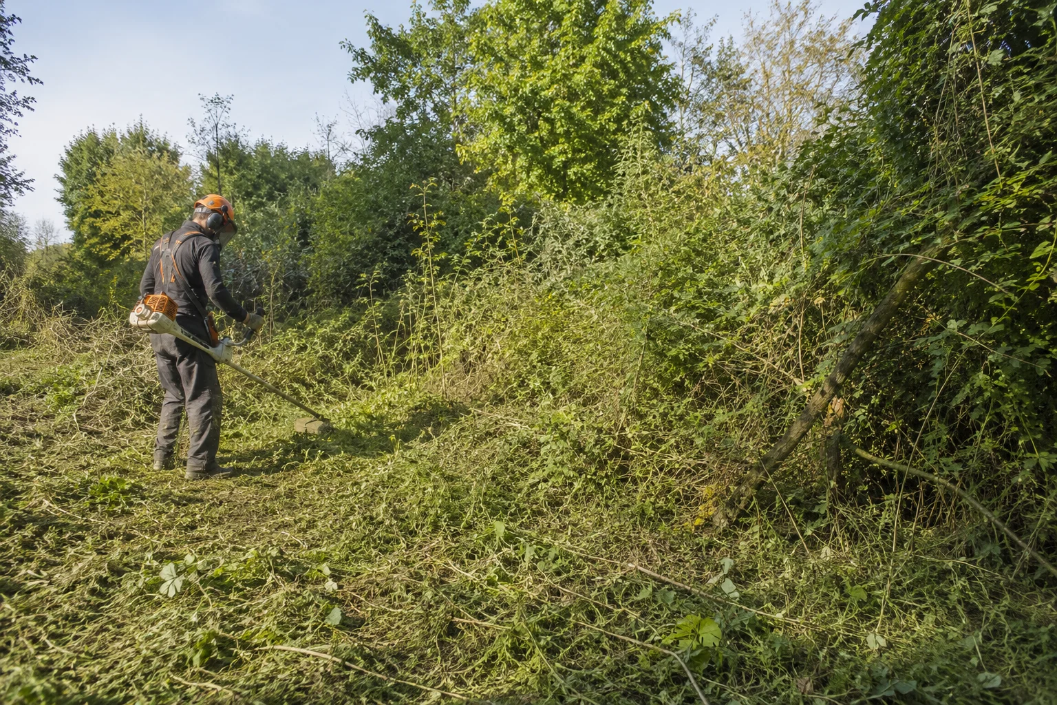 Paysagiste réalisant un débroussaillage de terrain envahi par les ronces et la végétation dense en Île-de-France