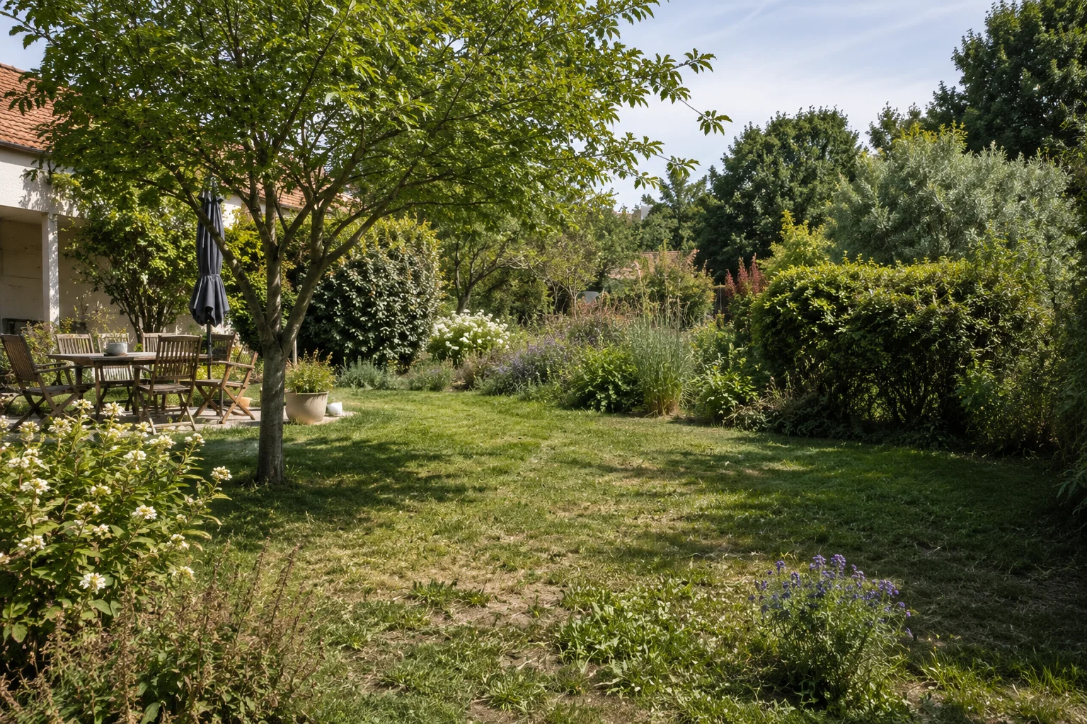 Jardin de particulier avec pelouse naturelle, arbres d'ombrage et massifs végétalisés entretenus par Espérance Verte Paysagiste en Île-de-France.